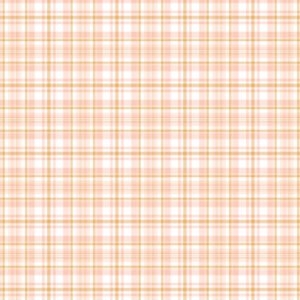 Simple Stories Front Porch 12X12 Family Time