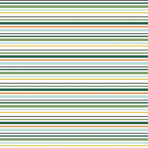 Echo Park Lucky Charm 12XS12 3X4 Journaling Cards