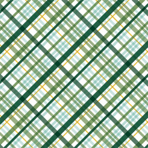 Echo Park Lucky Charm 12XS12 Irish Plaid