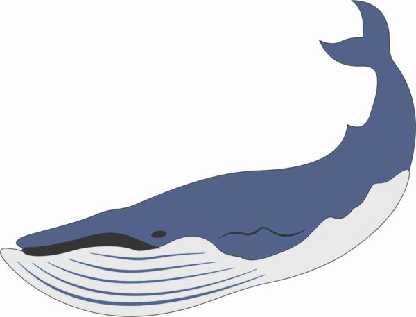 Petticoat Parlor Blue Whale