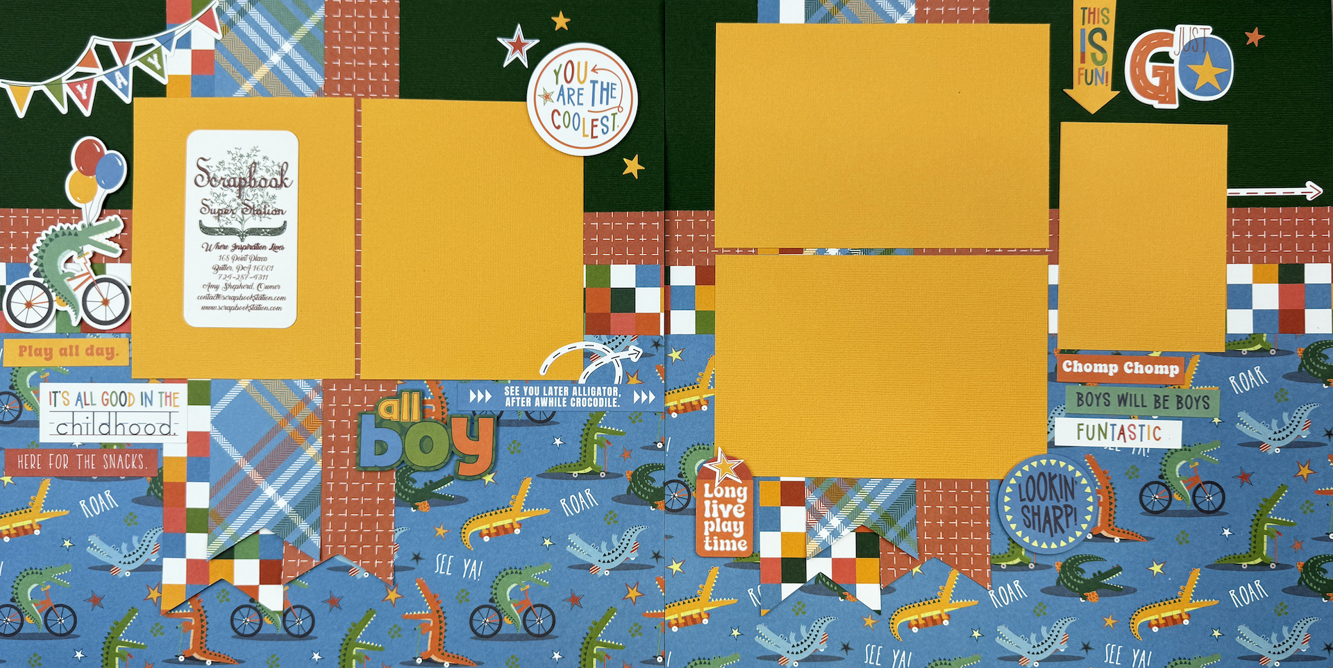 Photo Play Later Gator