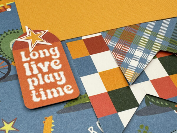 Photo Play Later Gator