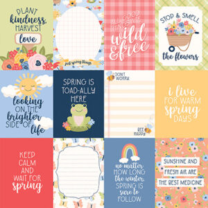 Echo Park Blossoms & Bees Girl 12X12 3X4 Journaling Cards