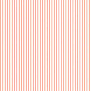 Echo Park Baby On Board Girl 12X12 Sweet Baby Blossoms