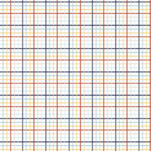 Echo Park Baby On Board Boy 12X12 Sweet Boy Plaid