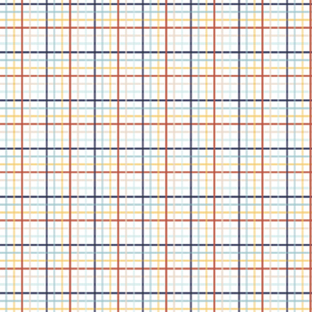 Echo Park Baby On Board Boy 12X12 Sweet Boy Plaid