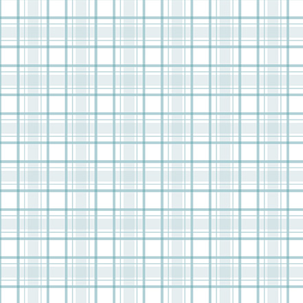 Echo Park Baby On Board Boy 12X12 It's A Boy Essentials