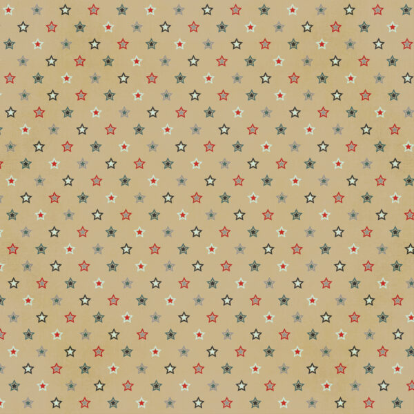 Simple Stories Hockey 12X12 Elements