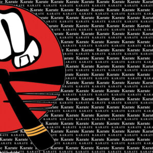 SCRAPBOOK CUSTOMS GO BIG 12X12 KARATE RIGHT