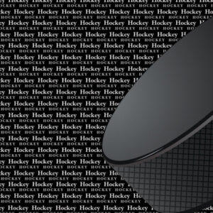 SCRAPBOOK CUSTOMS GO BIG 12X12 HOCKEY LEFT