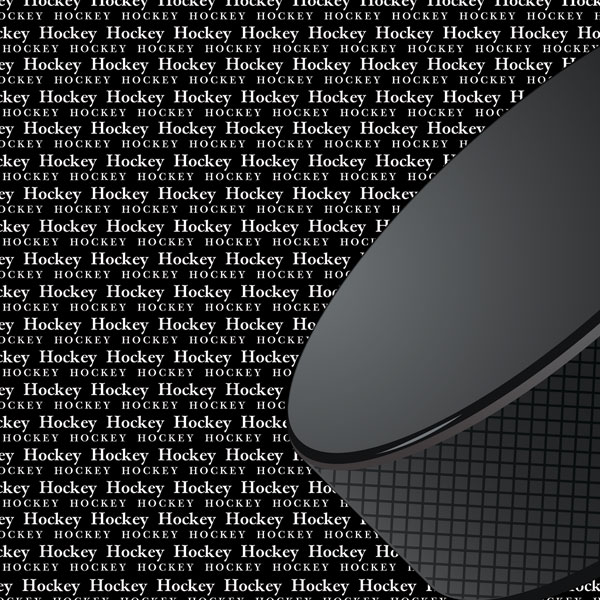 SCRAPBOOK CUSTOMS GO BIG 12X12 HOCKEY LEFT