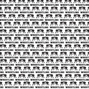 SCRAPBOOK CUSTOMS 12X12 LIFE WRESTLING 5A