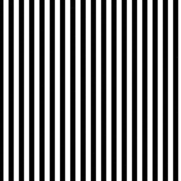 SCRAPBOOK CUSTOMS 12X12 LIFE WRESTLING 5A