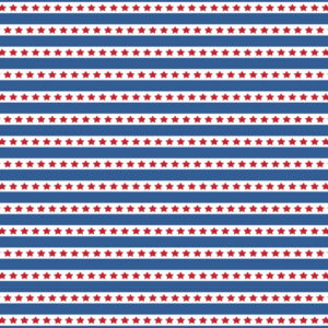 SCRAPBOOK CUSTOMS 12X12 LIFE HOCKEY 5A