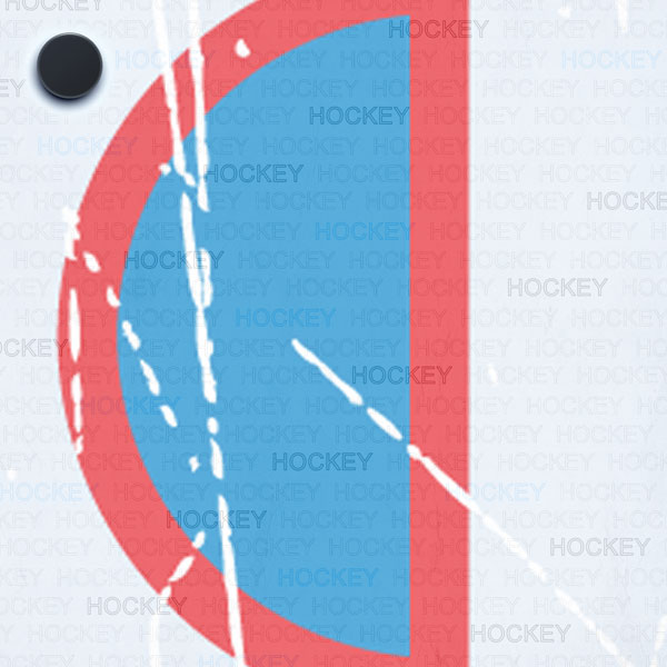 SCRAPBOOK CUSTOMS 12X12 HOCKEY ADDICT 2