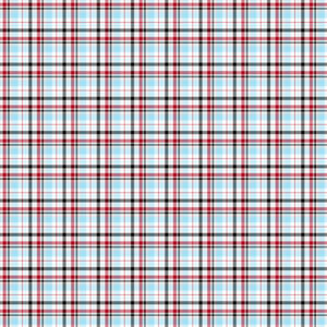 SCRAPBOOK CUSTOMS 12X12 HOCKEY ADDICT 2