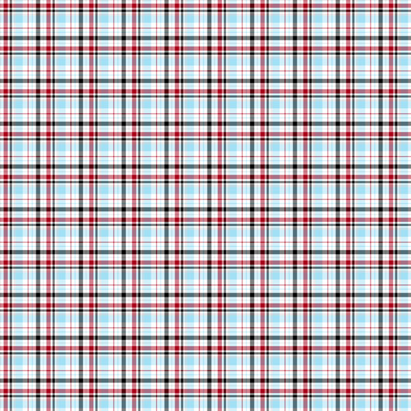 SCRAPBOOK CUSTOMS 12X12 HOCKEY ADDICT 2