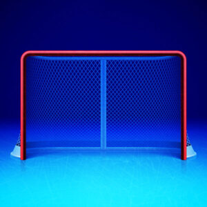SCRAPBOOK CUSTOMS 12X12 HOCKEY NEON 2