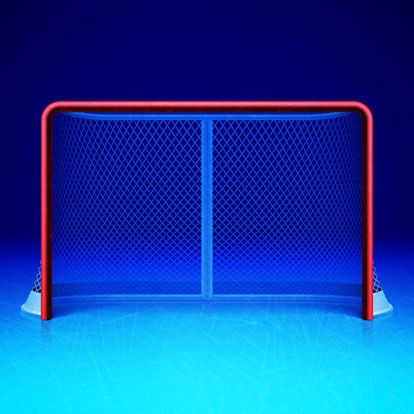 SCRAPBOOK CUSTOMS 12X12 HOCKEY NEON 2