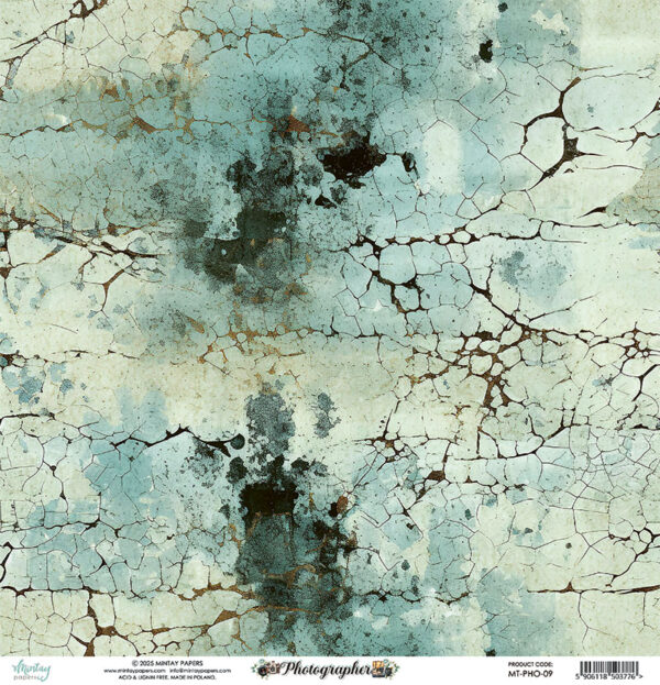 Mintay 12 X 12 Elements Paper Photographer