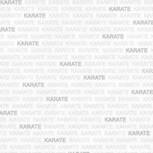 SCRAPBOOK CUSTOMS KARATE ADDICT 1