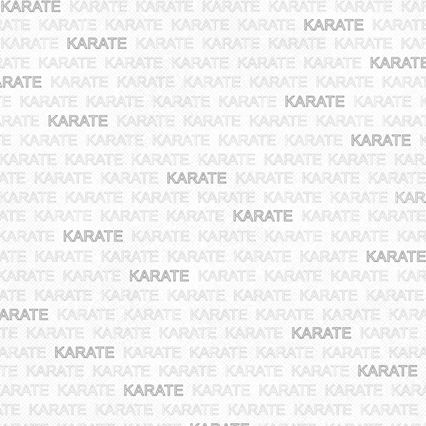 SCRAPBOOK CUSTOMS KARATE ADDICT 1