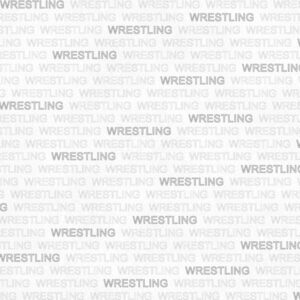 SCRAPBOOK CUSTOMS WRESTLING ADDICT 1