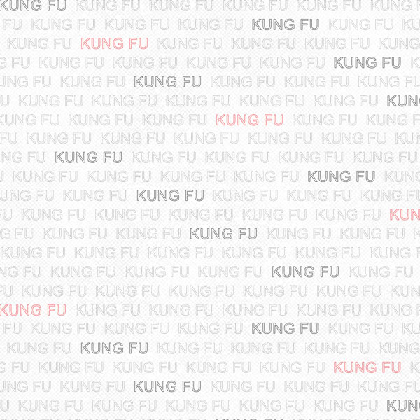 SCRAPBOOK CUST 12X12 KUNG FU ADDICT 1