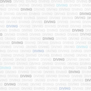 SCRAPBOOK CUSTOMS 12X12 DIVING ADDICT 1