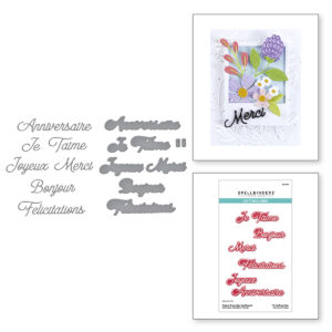 Spellbinders French Everyday Sentiments Etched Dies From the International Sentiments Collection