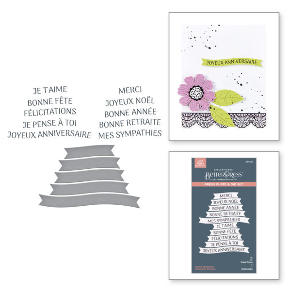 Spellbinders French Sentiments Betterpress Plate & Die Set From the International Sentiments Collection