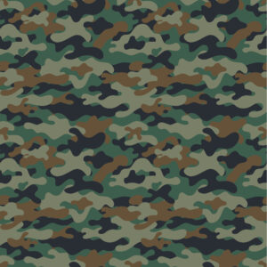 Reminisce Militray Life 12X12 Armor