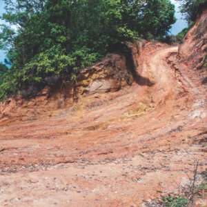 Reminisce Off Road Adventure 12X12 Dirttrail