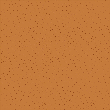 Carta Bella That's My Boy 12X12 Playtime Plaid