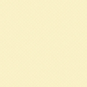 Carta Bella Secret Garden 12X12 Butterfly Beauty