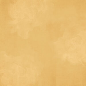 Simple Stories Simple Vintage Flower Shoppe Marigold Gingham