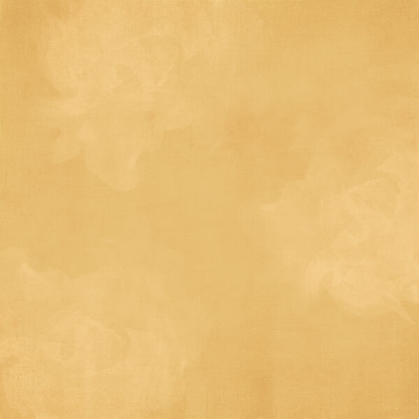 Simple Stories Simple Vintage Flower Shoppe Marigold Gingham