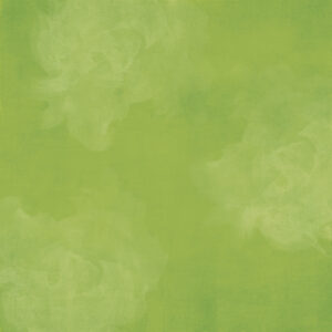 Simple Stories Simple Vintage Flower Shoppe Clover Gingham