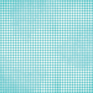 Simple Stories Simple Vintage Flower Shoppe Iris Gingham