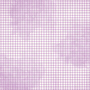 Simple Stories Simple Vintage Flower Shoppe Wisteria Gingham