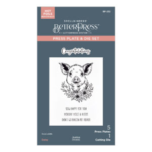 Spellbinders Daisy Betterpress Plate & Die Set From the Justine's Farm Collection By Justine Dvorak