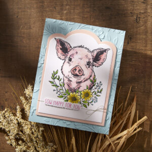 Spellbinders Daisy Betterpress Plate & Die Set From the Justine's Farm Collection By Justine Dvorak