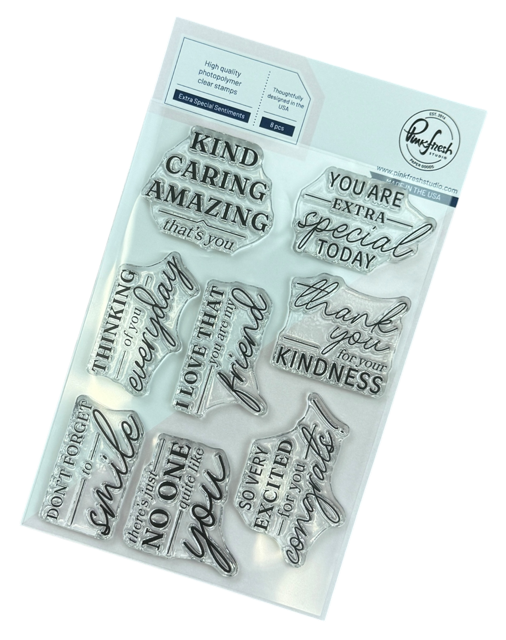 Pinkfresh Stamp Extra Special Sentiemnts