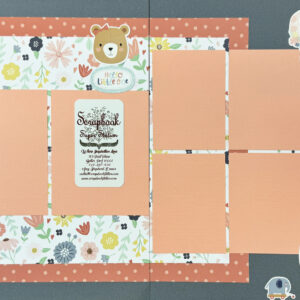 Echo Park Baby On Board Girl