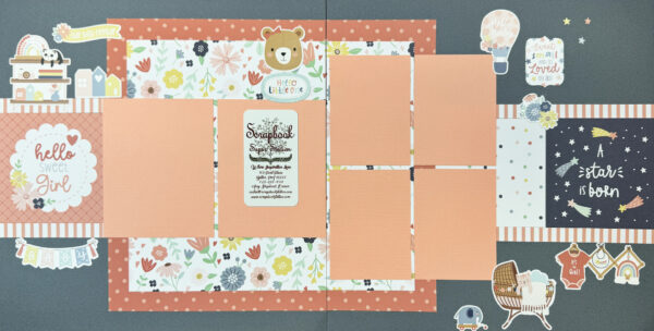 Echo Park Baby On Board Girl