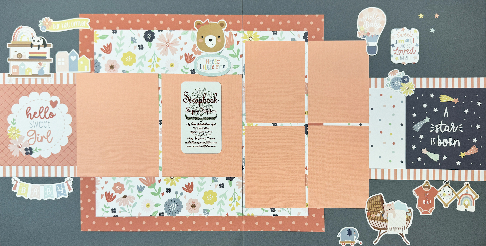 Echo Park Baby On Board Girl