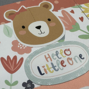 Echo Park Baby On Board Girl