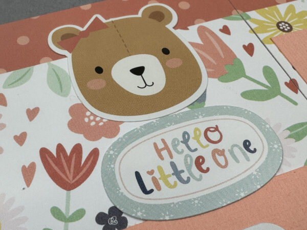 Echo Park Baby On Board Girl