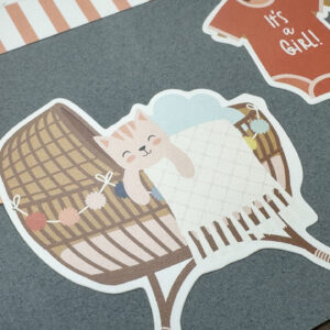 Echo Park Baby On Board Girl