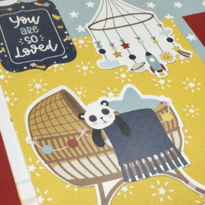 Echo Park Baby On Board Boy